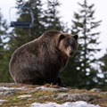 NSC-2010-11-16-Canada-00227