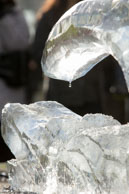 Melting ice in the sun / Beautiful sunshine created challenging conditions for the ice sculptors