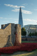 Poppies and The Shard / In celebration of the 100 years stince the start of World War I, ceramic artist Paul Cummins, with setting by stage designer Tom Piper, have started the installation of 