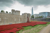 Poppies and clouds / In celebration of the 100 years stince the start of World War I, ceramic artist Paul Cummins, with setting by stage designer Tom Piper, have started the installation of 
