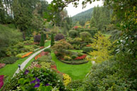 Sunken Garden / During the Fall in the beautiful Butchart Gardens, near Victoria, British Columbia, Canada