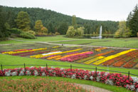 Colourful Planting Beds / During the Fall in the beautiful Butchart Gardens, near Victoria, British Columbia, Canada