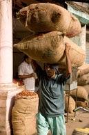 Carrying chillis / Sacks of chillis being carried around the spice market in Old Delhi