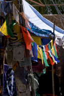 Prayer flags on street / Prayer flags along the street in Leh