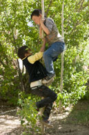 Two boys up a tree / Two young boys both trying to climb the same thin tree