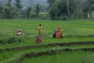 Women on a tea break / Women working in the fields taking a tea break