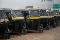 Tuktuk lineup / Row of Tuktuks in Dharamsala waiting to be hired