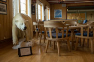 Polar bear in Longyearbyen's church / Longyearbyen, the main settlement in Svalbard