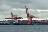Vancouver Docks / From my trip in October 2014 to  Vancouver showing the contrast between city and nature
