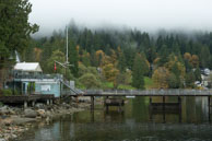Deep Cove Yacht Club / From my trip in October 2014 to  Vancouver showing the contrast between city and nature