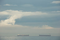 Cargo Ships / From my trip to Victoria and Vancouver Island in the Fall (October 2014)