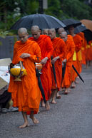 Monks collecting arms / Early morning in Laung Prabang (Laos), the monks collect arms from the locals.