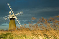 Windmill in the Fens / Windmill in the Norfolk broads on a spring evening