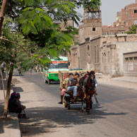 Traditional transport / Horse and cart transporting good in Cairo