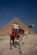 Camel rider / Camel rider offerring rides around the Pyramids