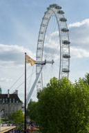 London Eye at Day / View of the London Eye during the day