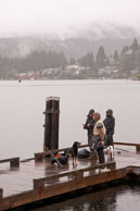 Fishing in the rain / Group of fishermen and their dogs on the pier in heavy rain