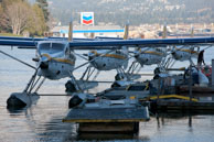 Series of float planes / Row of float planes moored downtown Vancouver