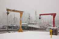 Snow on Fisherman's Wharf / No fish being landed on Fisherman's Wharf, Vancouver due to snow
