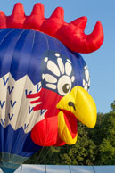 Head of French Cockerel balloon / Close up of the special shaped French Cockerel balloon