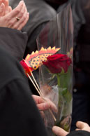 Dragon and Red Rose / Person holding a chinese dragon and a red rose