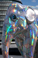 Cubelephant / Elephant 55