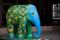 MAYUR GAJENDRA / Elephant 188