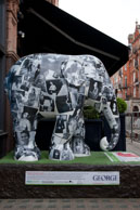 Elephant Ladyland / Elephant 105