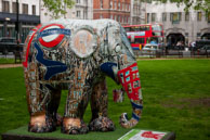 Iconic London / Elephant 194
