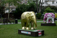 Oscar & The Illustrated Elephant / Elephants 251 & 231