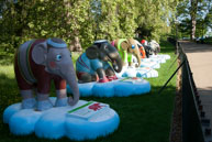 Happy Herd in Hyde Park / Elephants 20, 31, 39 & 26