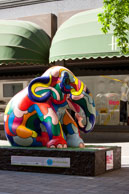 Colourful Hope / Elephant 75