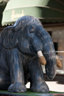 Wooly Mommoth / Elephant 151