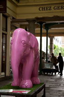 Pink Elephant / Elephant 10