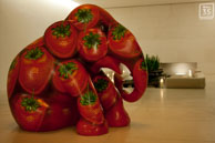 Strawberry / Elephant 4