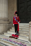 William at Canada House / William dress in his own uniform to watch the 2014 London New Year's Day Parade