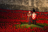 Reading the Roll of Honour / In celebration of the 100 years stince the start of World War I, ceramic artist Paul Cummins, with setting by stage designer Tom Piper, have started the installation of 