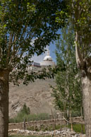 Shanti Stupa from the town / View of Shanti Stupa from the town of Leh