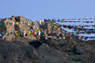 Prayer flags at Leh Palace / Prayer flags on Leh Palace in the early morning