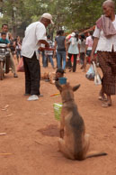 Begger & Dog / Temples, their surrounding and people in Seim Reap, Cambodia