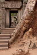 Tree & Door / Temples, their surrounding and people in Seim Reap, Cambodia