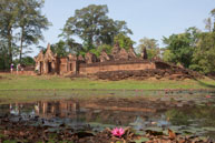 Lillies & Ruined Temple / Temples, their surrounding and people in Seim Reap, Cambodia