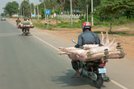 Off to market / Experiences when travelling through villages in Cambodia