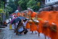 Laos / Monks accepting alms as part of the early monring rituals in Laung Prabang, Laos