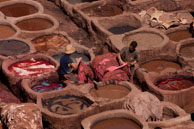 Close-up in Tannery worker / Close-up in Tannery worker in Fes
