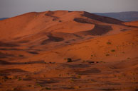 Early moring in the Sahara / Vast expands of the Sahara taken early in the morning from the top of a dune