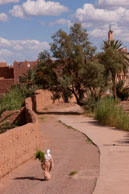 Woman with leafy branches / Woman with leafy branches in Ouarzazate