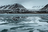 Reflection in broken ice / Reflections of the mountains in the broken ice of Billefjorden, Svalbard