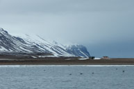 Huts on the shoreline / Huts on the edge of the tundra on Billefjorden, Svalbard