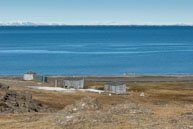 Huts and Walrus / Group of walruses in front of the huts at Dolerittneset, Svalbard